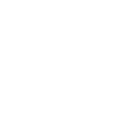 ce logo Miles City