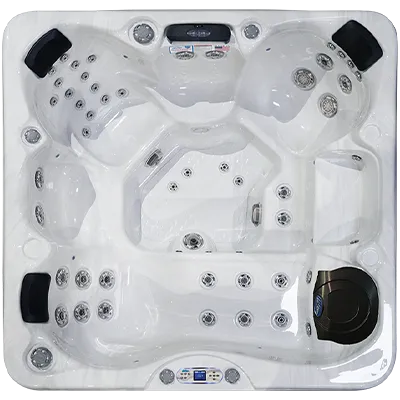 Avalon EC-849L hot tubs for sale in Miles City